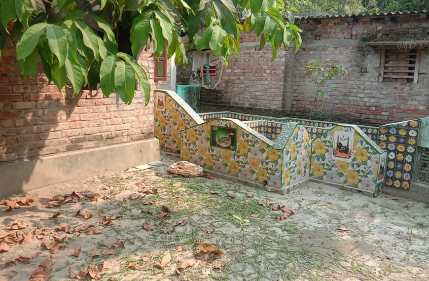 কবরস্থানের পাশে অদ্ভুত ধরনের ফুল ছোট থেকে বড় হচ্ছে আবার সময়ের সাথে রং পরিবর্তন…
