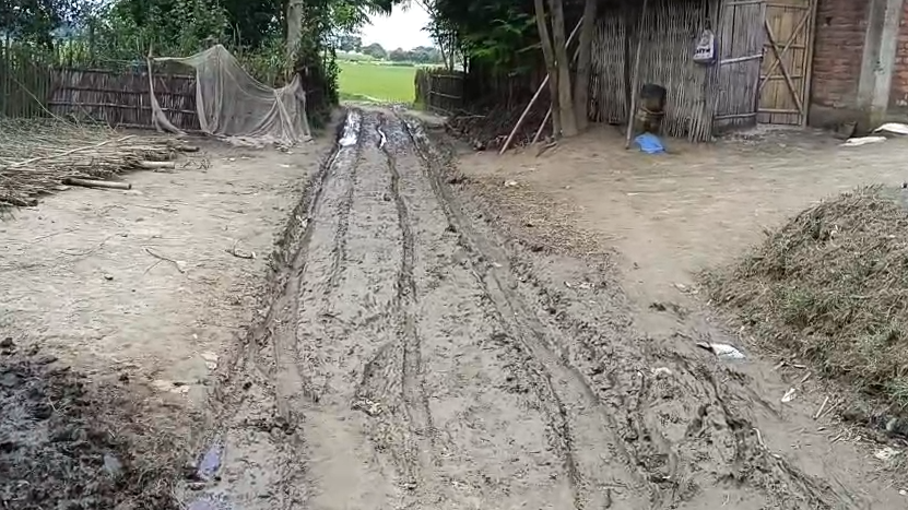 রাস্তায় ধানের চারা রোপন করে বিক্ষোভ গ্রামবাসীদের