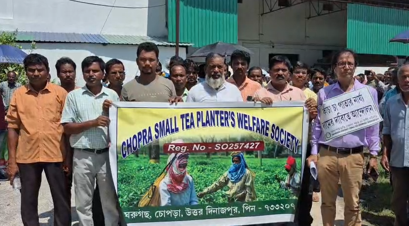 চরম সঙ্কটে হাজার হাজার ক্ষুদ্র চা চাষী, ন্যায্য…