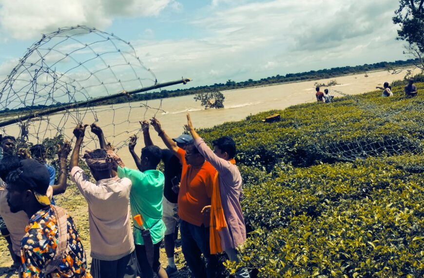 চা বাগান কর্তৃপক্ষ এবং বনবস্তিবাসীর উদ্বেগ বাড়াচ্ছে সংকোশ…