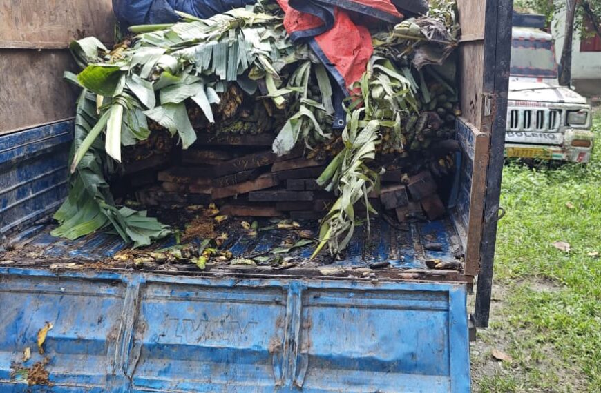 শিলিগুড়িতে লক্ষাধিক টাকার শাল ও টিক কাঠ উদ্ধার,…