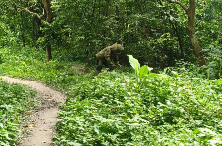 পরিত্যক্ত একটি বাড়ি থেকে ২২টি তাজা বল বোমা…
