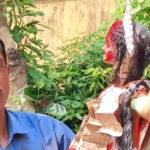 আধুনিকতার ভিড়ে বাংলার বুকে বিলুপ্তপ্রায় ভাদুগান।